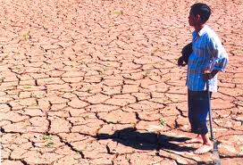 ໂຄງການຮ່ວມມືດ້ານເຕັກນິກ ຫວຽດນາມ ນອກແວ